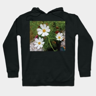 Dainty Garden Flowers Hoodie